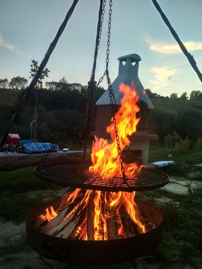 Domki W Bieszczadzkiej Dolinie Ustrzyki Dolne Εξωτερικό φωτογραφία